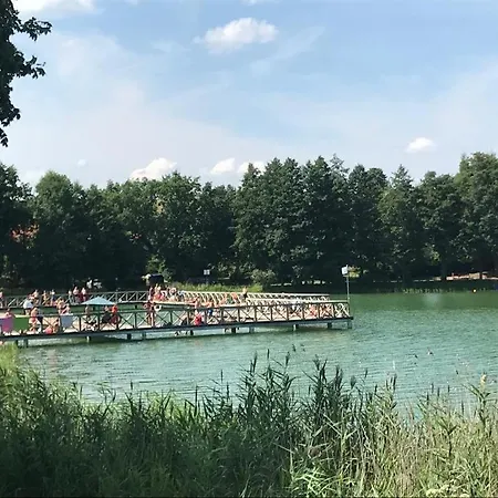 Domek Letniskowy Nad Jeziorem Alojamento de Turismo Selvagem Ryn (Warmian-Masurian)